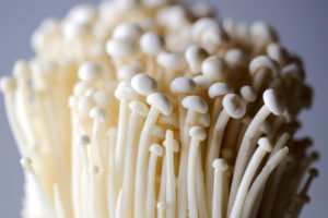 Enoki Enoki