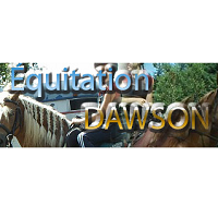 Annuaire Équitation Dawson