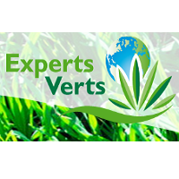 Logo Experts Verts