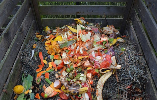 Faire un Compost, c’est Écologique et très Bon pour le Jardin
