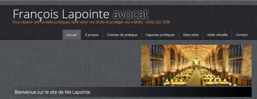 François Lapointe Avocat en Ligne 