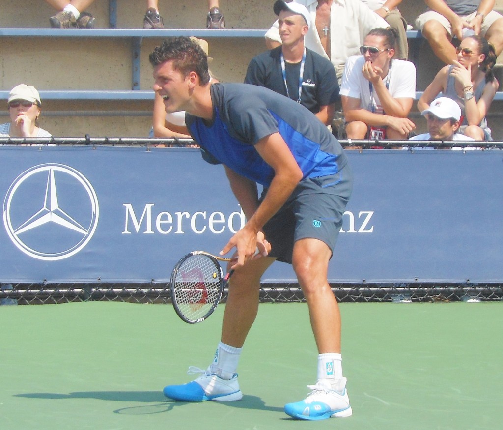 Frank Dancevic 2013 US Open