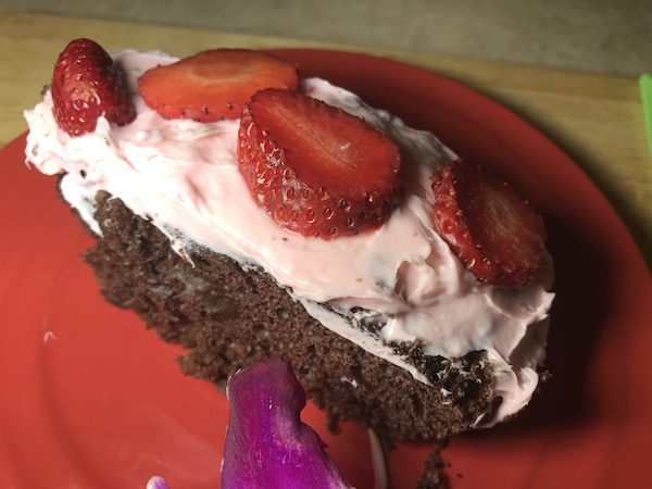 Gâteau Chocolat et Fraises 13