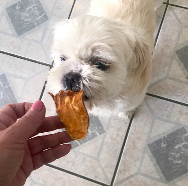 Gâterie pour Chien à la Patate Douce 5