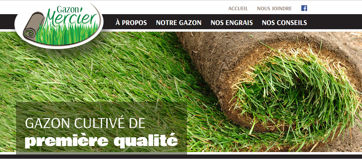 Gazon Mercier en Ligne 