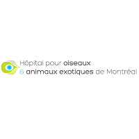 Logo Hôpital pour Oiseaux & Animaux Éxotiques