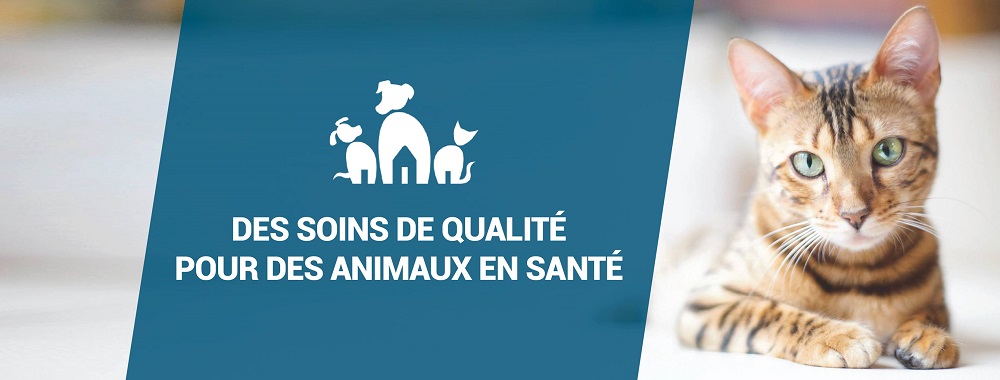 Hôpital Vétérinaire Carcajou en Ligne