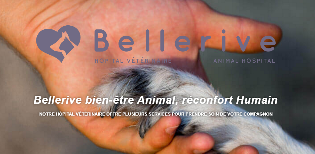 H&ocirc;pital V&eacute;t&eacute;rinaire de Bellerive en Ligne