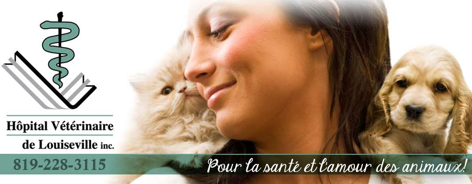 H&ocirc;pital V&eacute;t&eacute;rinaire de Louiseville Inc. en Ligne