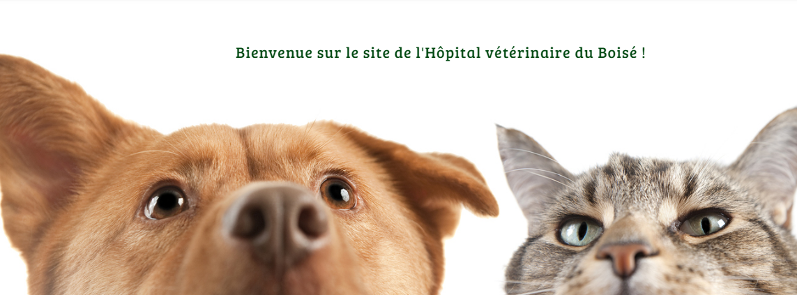 Hôpital Vétérinaire du Boisé Inc. en Ligne