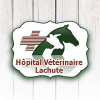 Logo Hôpital Vétérinaire Lachute