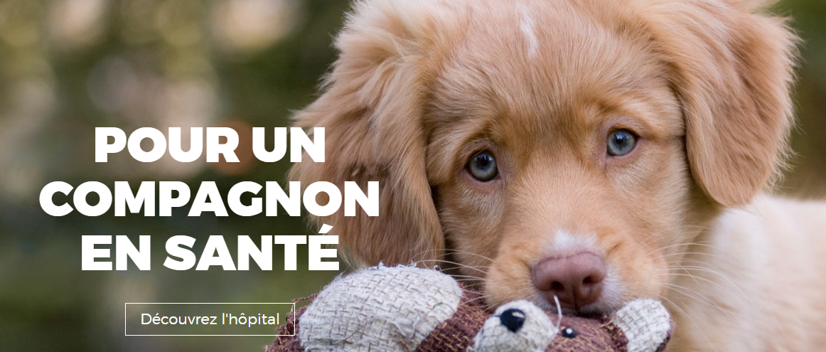 Hôpital Vétérinaire Val-Maurice en Ligne