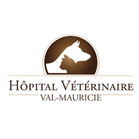 Logo Hôpital Vétérinaire Val-Maurice