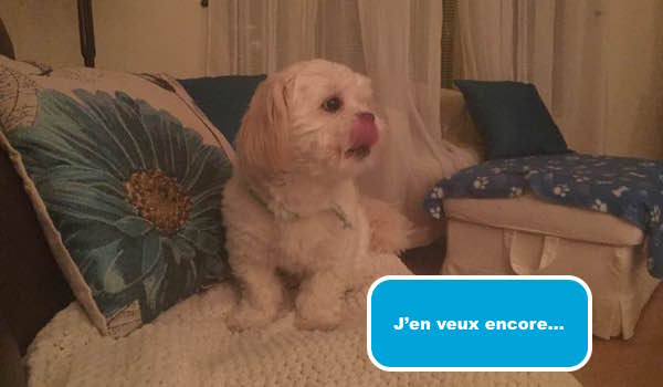 jen-veux-encore jen-veux-encore