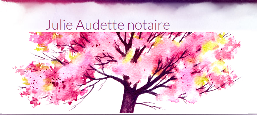 Julie Audette Notaire en Ligne