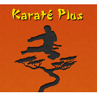 Logo Karaté Plus