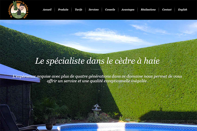 Le Gars des Cèdres en Ligne