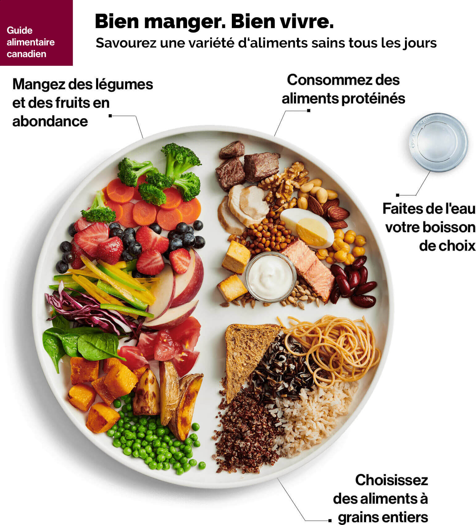 Le Nouveau Guide Alimentaire Canadien en bref