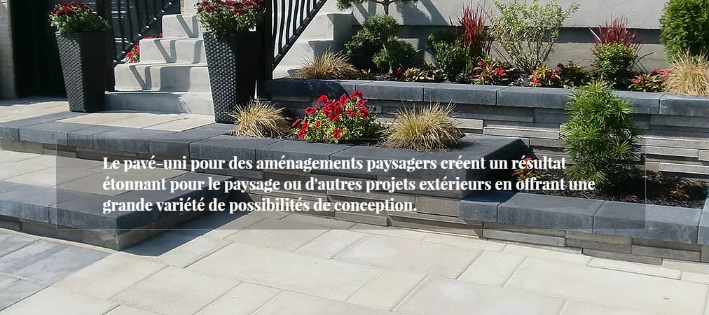 Les Entrepreneurs Bucaro en Ligne Les Entrepreneurs Bucaro en Ligne