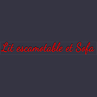 Lit escamotable et Sofa