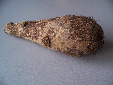 Malanga