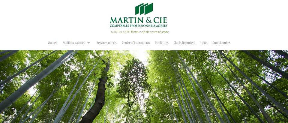 Martin & Cie CPA en Ligne 