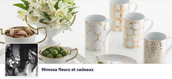 mimosa fleurs et cadeaux en ligne