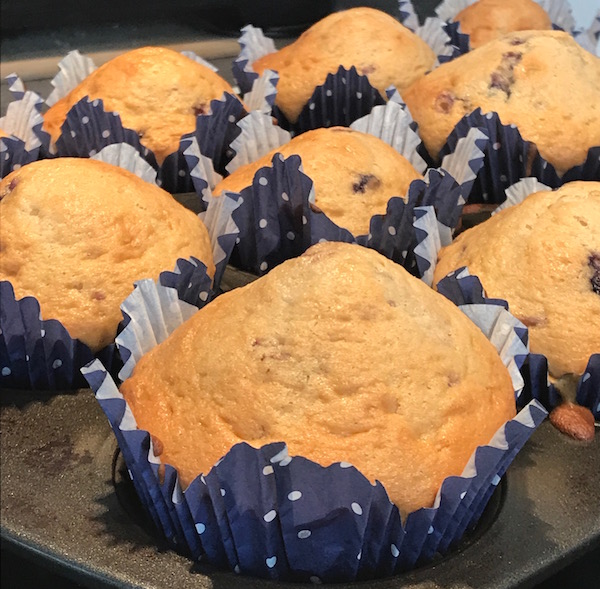 Muffin aux Bleuets Santé 7