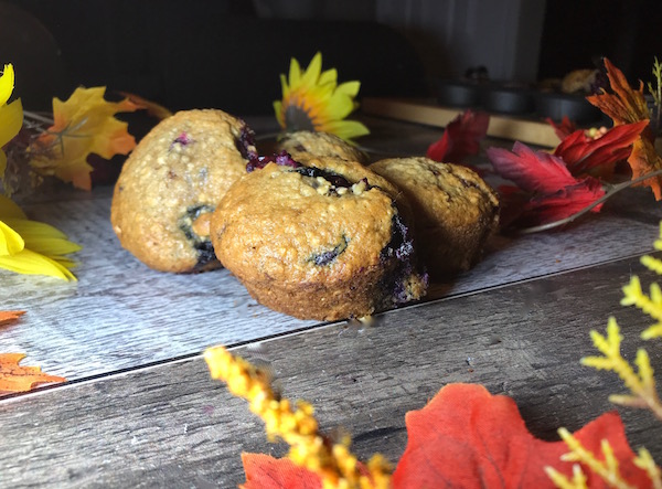 Muffins Bleuets, Dattes et Pépites de Chocolat 2