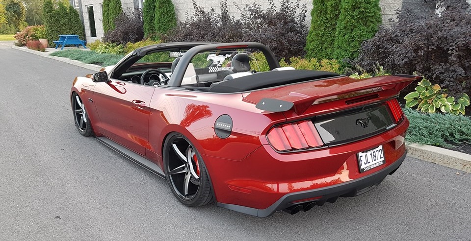 Mustang Direct en Ligne