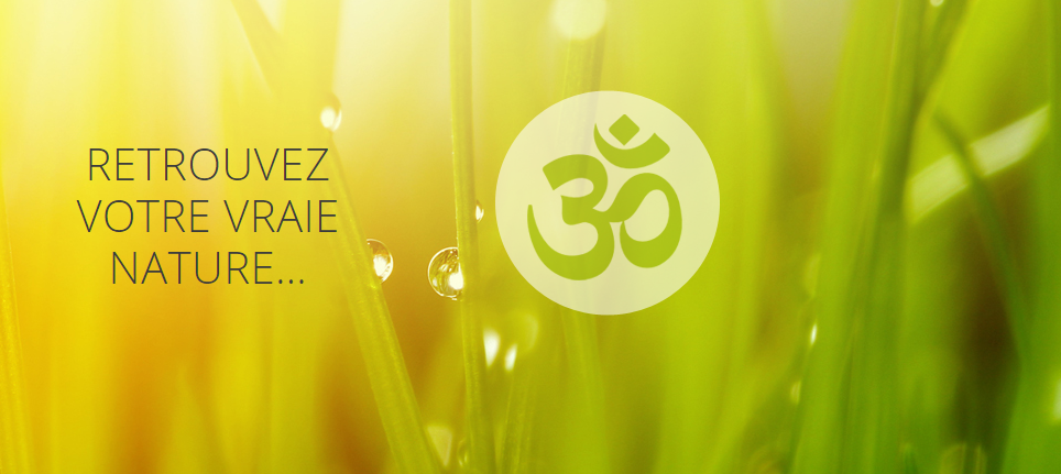 Nature Zen Yoga en Ligne