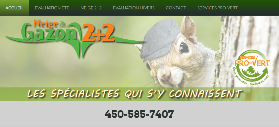 Neige et Gazon 2 Plus 2 en Ligne