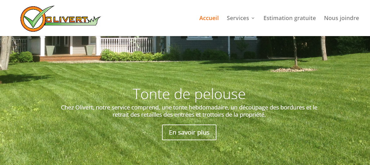 Oli Vert en Ligne