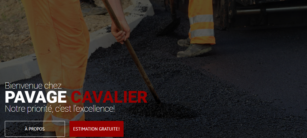 Pavage Cavalier en Ligne