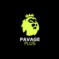 Logo Pavage Plus