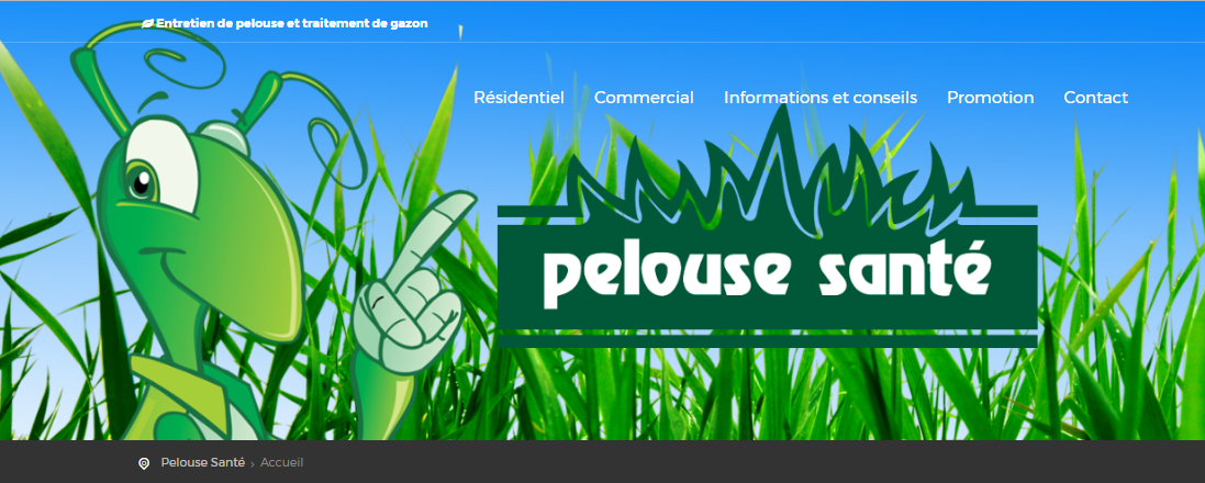 Pelouse Santé en Ligne Pelouse Santé en Ligne