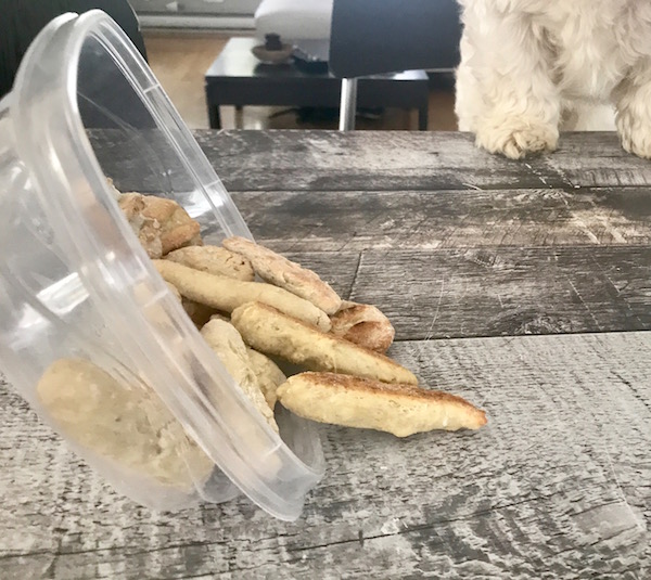 Petit Biscuit pour Chien