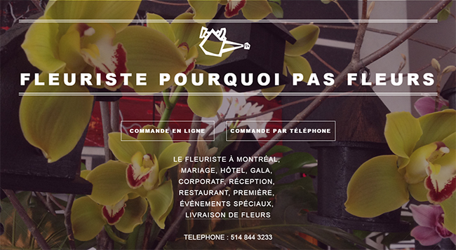 Pourquoi Pas Fleurs en Ligne