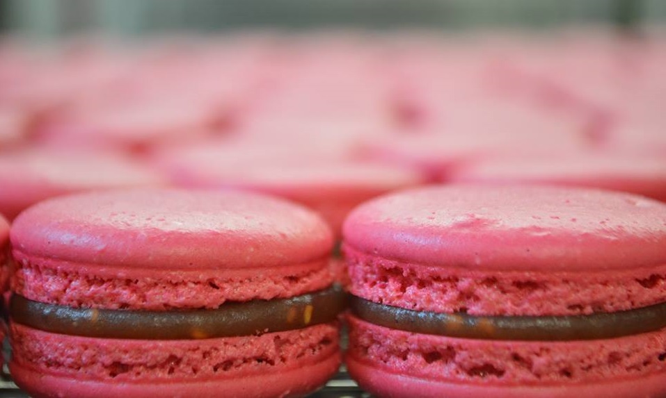 Praline & Chocolat en Ligne