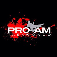 Logo Pro-Am Taekwondo