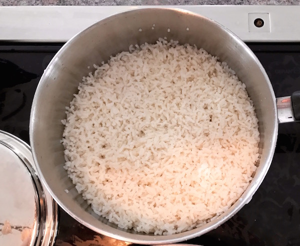 Riz à la dinde et Carottes Racines Riz à la dinde et Carottes Racines