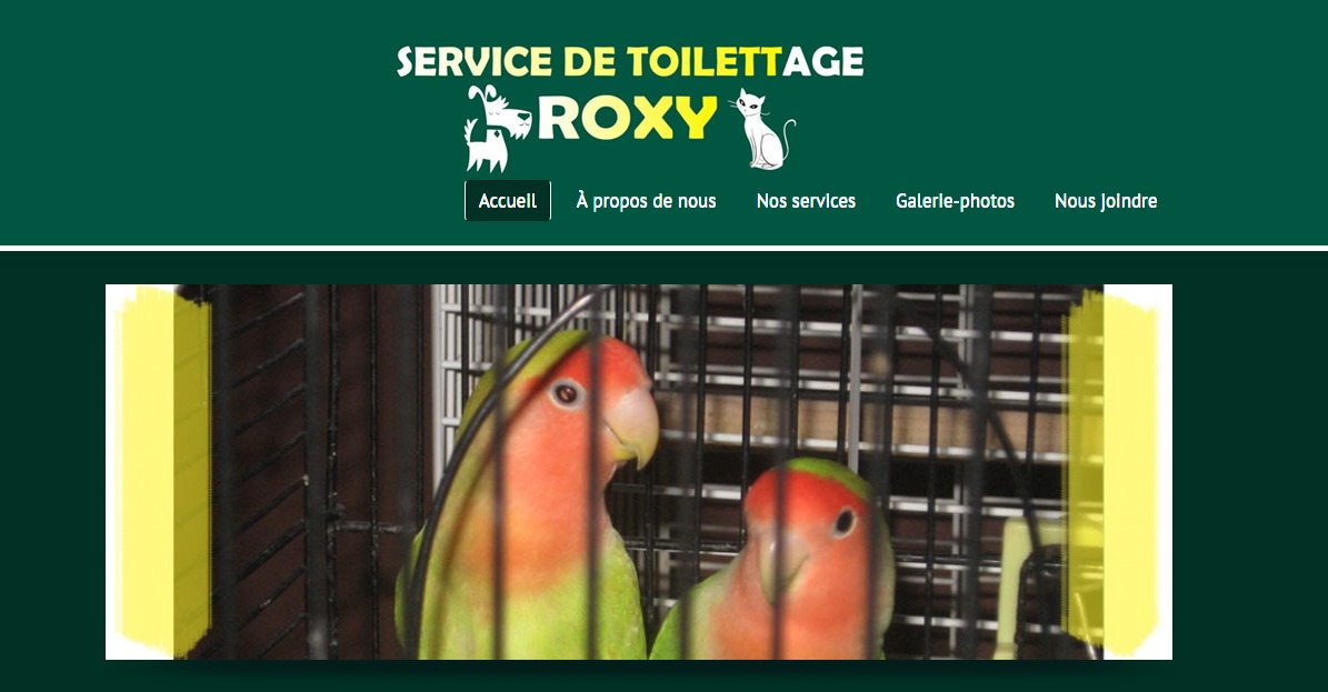Service de Toilettage Roxy en Ligne