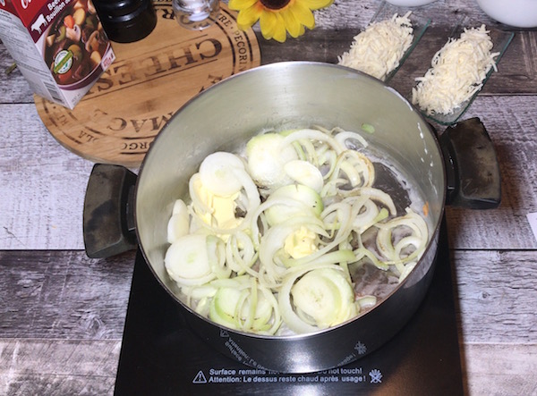 Soupe à L'oignon Gratinée de Josée 14
