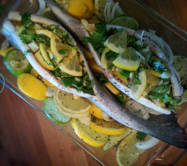 Truite Farcie Festin de la Mer