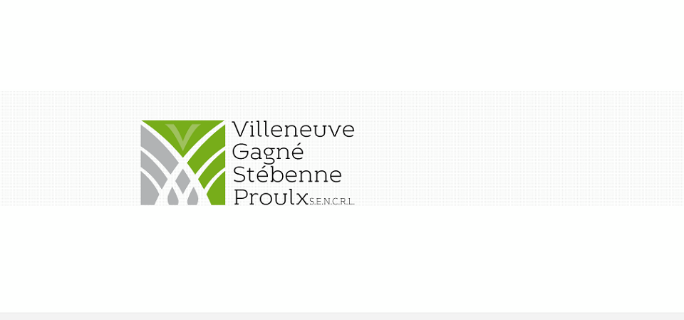 Villeneuve,Gagné, Stébenne, Proulx en Ligne