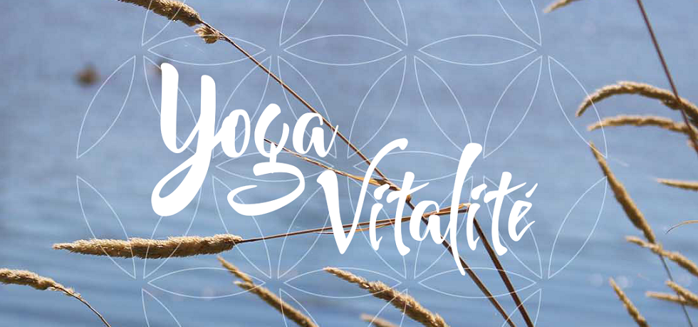 Yoga Vitalité en Ligne