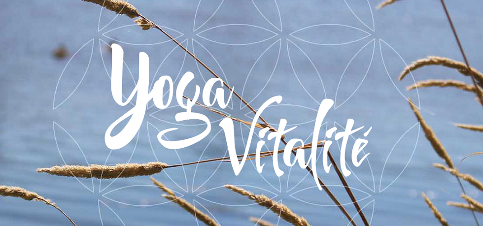 Yoga Vitalit&eacute; en Ligne