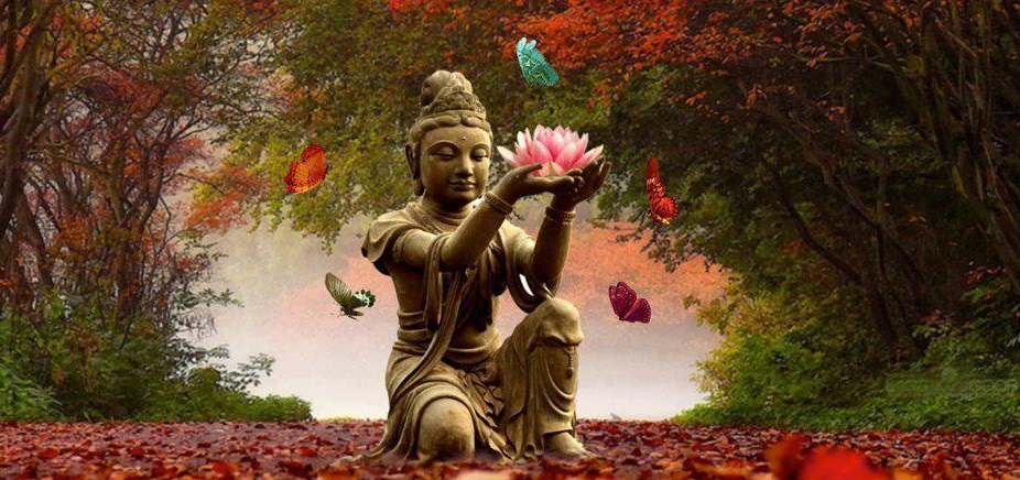 Yoso Zen Yoga en Ligne
