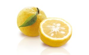 yuzu-web