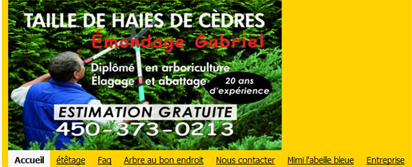 Émondage Gabriel en ligne